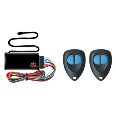 Remote Keyless Entry & Basic Immobiliser System